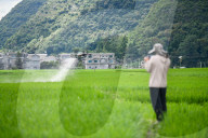 Drones Spraying Pesticides in Anlong