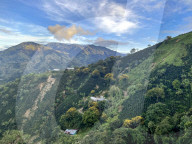 Colombian Coffee Production