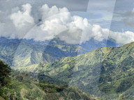 Colombian Coffee Production