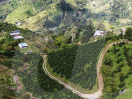 Colombian Coffee Production