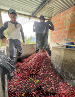 Colombian Coffee Production