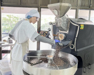 Colombian Coffee Production