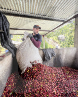 Colombian Coffee Production