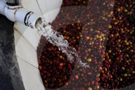 Colombian Coffee Production