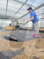 Colombian Coffee Production