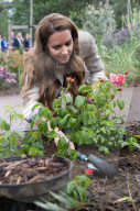 Kate Middleton in Colchester