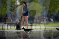 Heatwave Expected In Poland