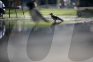 Heatwave Expected In Poland