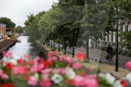 Daily Life In The Hague