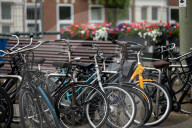 Daily Life In The Hague
