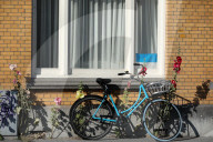 Daily Life In The Hague