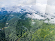 Gonglongping State-owned Forest Farm in Bijie