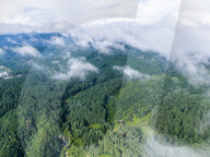Gonglongping State-owned Forest Farm in Bijie