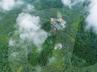 Gonglongping State-owned Forest Farm in Bijie