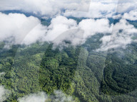 Gonglongping State-owned Forest Farm in Bijie