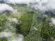 Gonglongping State-owned Forest Farm in Bijie