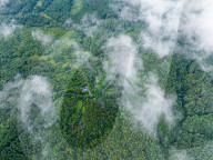 Gonglongping State-owned Forest Farm in Bijie