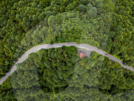 Gonglongping State-owned Forest Farm in Bijie