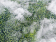 Gonglongping State-owned Forest Farm in Bijie