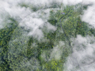 Gonglongping State-owned Forest Farm in Bijie