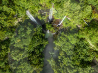 Gonglongping State-owned Forest Farm in Bijie