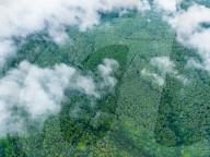 Gonglongping State-owned Forest Farm in Bijie