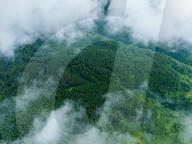 Gonglongping State-owned Forest Farm in Bijie