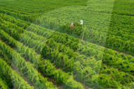 Agriculture Under High Temperatures