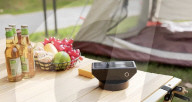 Laser guided mosquito zapper