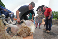 King Charles in Campbeltown, Scotland