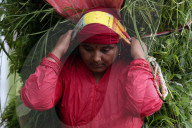 Daily Life In Nepal