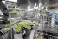 Foreign Trade Food Processing in Yichang