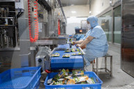 Foreign Trade Food Processing in Yichang