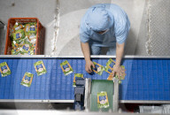 Foreign Trade Food Processing in Yichang