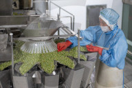 Foreign Trade Food Processing in Yichang