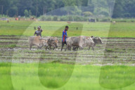 Daily Life In India