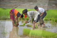 Daily Life In India