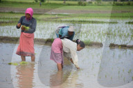 Daily Life In India