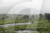 Monsoon Fuels Rice Cultivation In Rural Maharashtra