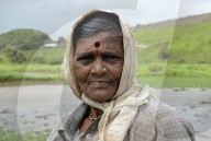 Monsoon Fuels Rice Cultivation In Rural Maharashtra