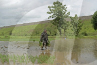 Monsoon Fuels Rice Cultivation In Rural Maharashtra