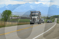 Daily Life Between Banff And Cochrane
