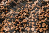 Lumber Production And Wood Processing In Cochrane