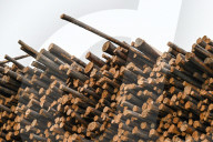 Lumber Production And Wood Processing In Cochrane