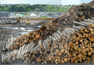 Lumber Production And Wood Processing In Cochrane