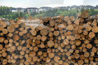 Lumber Production And Wood Processing In Cochrane