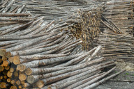 Lumber Production And Wood Processing In Cochrane