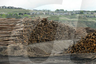 Lumber Production And Wood Processing In Cochrane