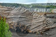 Lumber Production And Wood Processing In Cochrane