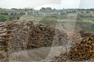 Lumber Production And Wood Processing In Cochrane